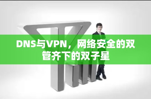 DNS与VPN，网络安全的双管齐下的双子星