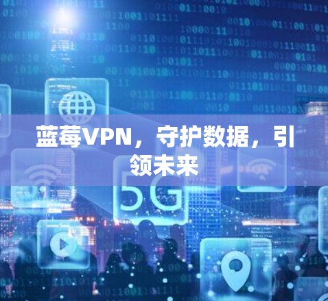蓝莓VPN，守护数据，引领未来