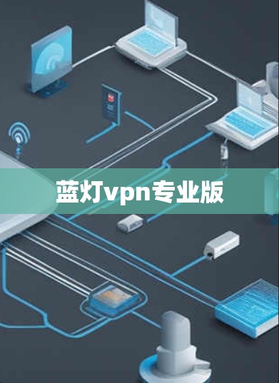蓝灯vpn专业版