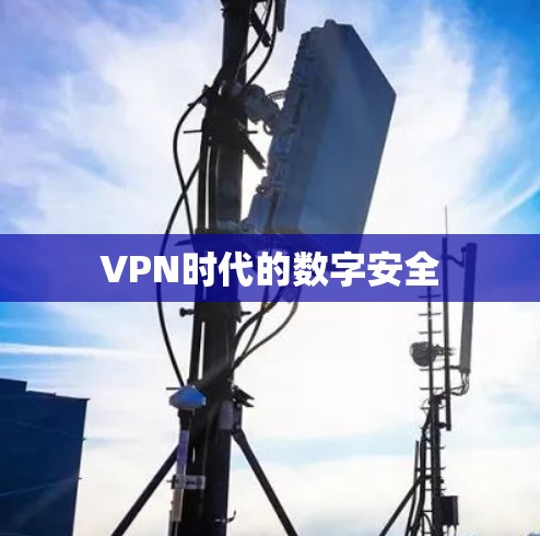 VPN时代的数字安全