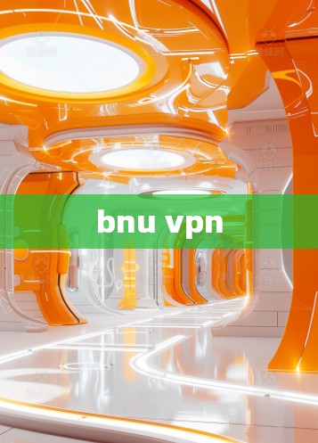 bnu vpn