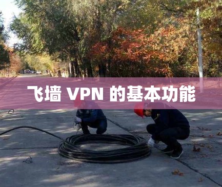 飞墙 VPN 的基本功能