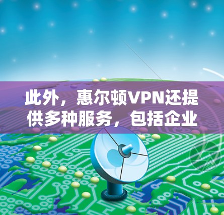 此外，惠尔顿VPN还提供多种服务，包括企业级VPN、家庭级VPN、个人级VPN以及远程访问服务，满足不同用户的需求。惠尔顿VPN还致力于提供全球范围内的服务，支持多国和地区的用户