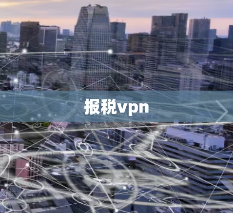 报税vpn 报税vpn