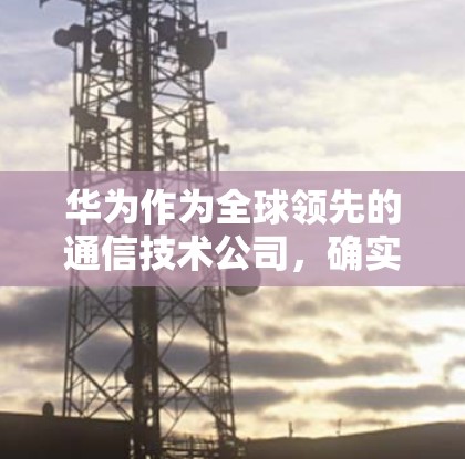 华为作为全球领先的通信技术公司，确实不会自己挂VPN。然而，华为通过多种措施保护内部网络，确保即使外部VPN被挂起来，内部网络也能保持稳定和安全。以下是华为在挂VPN时的主要措施