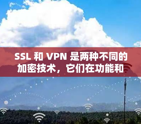 SSL 和 VPN 是两种不同的加密技术,它们在功能和应用场景上有显著的区别。以下是对它们的详细对比