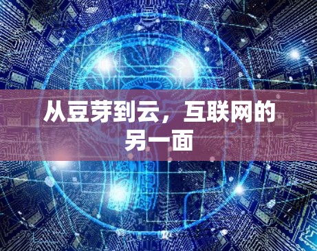 从豆芽到云，互联网的另一面