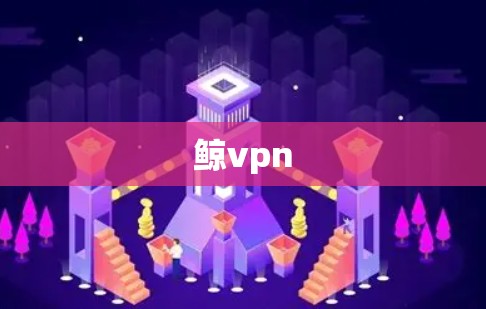 鲸vpn