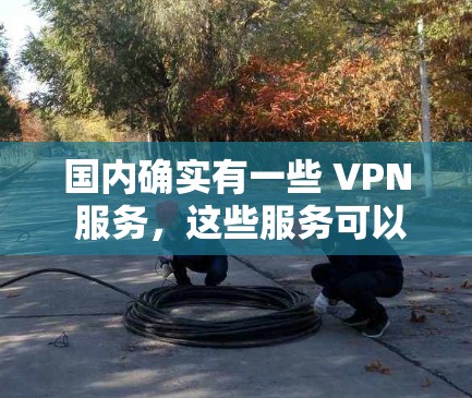 国内确实有一些 VPN 服务,这些服务可以帮助国内用户在国际上保持通信的安全性。以下是几种常用的国内 VPN 服务及其特点 国内确实有一些 VPN 服务,这些服务可以帮助国内用户在国际上保持通信的安全性。以下是几种常用的国内 VPN 服务及其特点