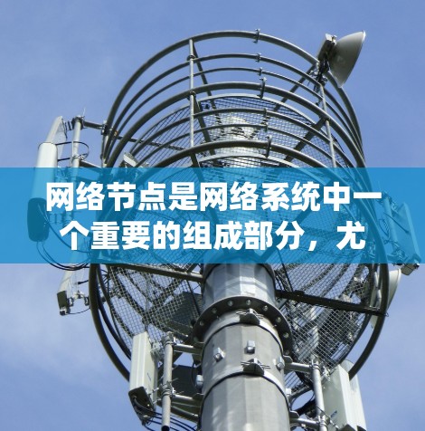 网络节点是网络系统中一个重要的组成部分,尤其是在计算机网络、软件工程和Web开发领域。以下是一些关于网络节点的教程和知识 网络节点是网络系统中一个重要的组成部分,尤其是在计算机网络、软件工程和Web开发领域。以下是一些关于网络节点的教程和知识