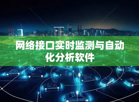 网络接口实时监测与自动化分析软件
