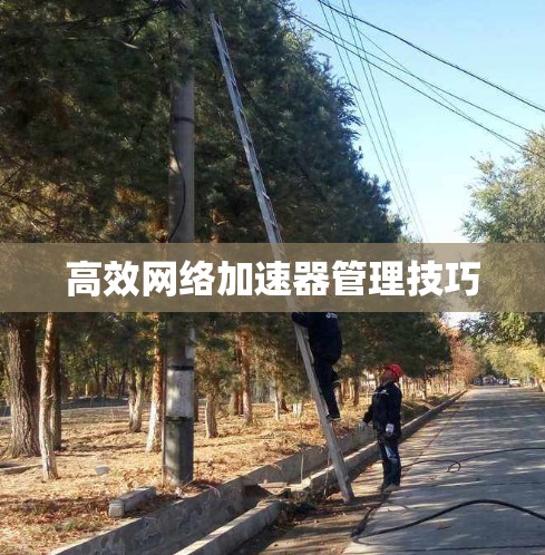 高效网络加速器管理技巧
