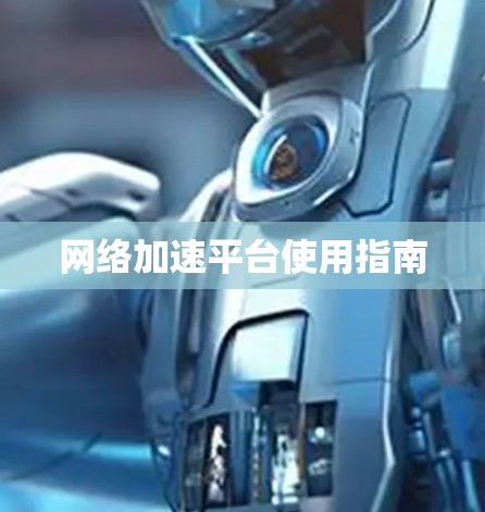 网络加速平台使用指南