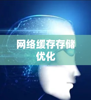 网络缓存存储优化 网络缓存存储优化