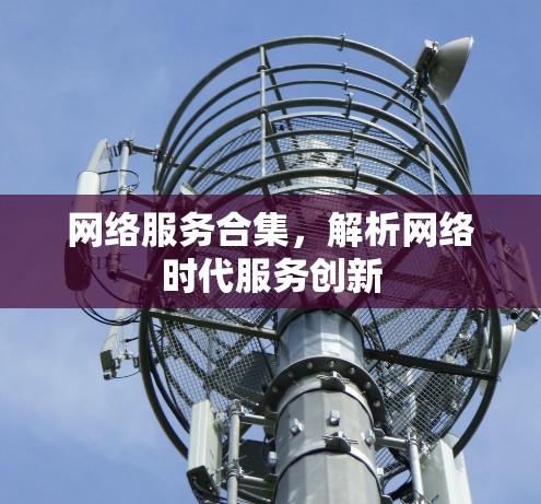 网络服务合集，解析网络时代服务创新