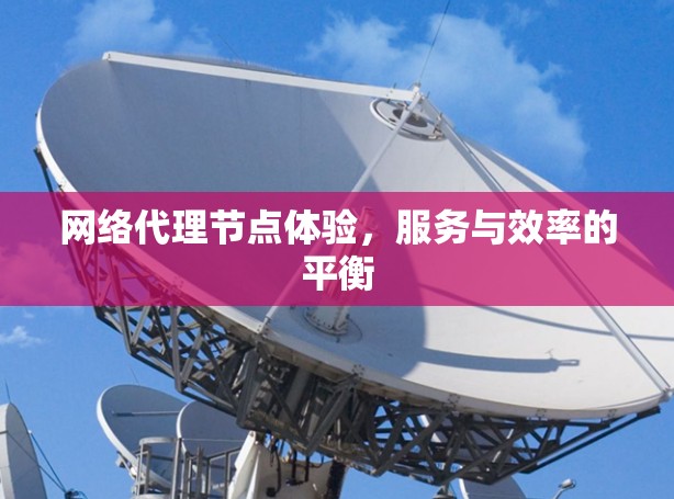 网络代理节点体验，服务与效率的平衡