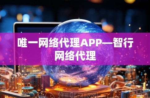 唯一网络代理APP—智行网络代理