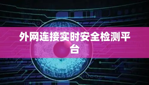外网连接实时安全检测平台 外网连接实时安全检测平台