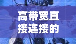 高带宽直接连接的外网VPN 高带宽直接连接的外网VPN