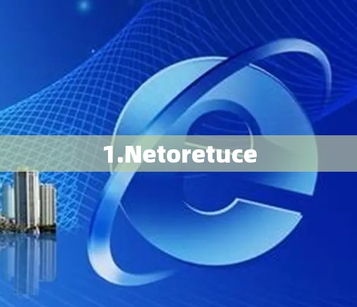 1.Netoretuce