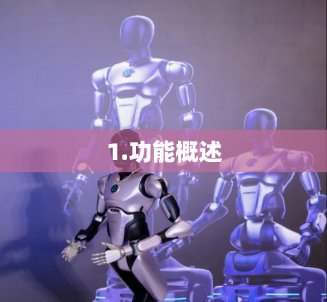 1.功能概述