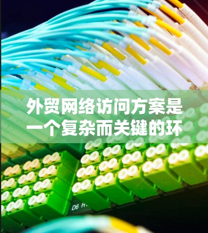 外贸网络访问方案是一个复杂而关键的环节,旨在确保在国际市场上顺利进行产品的销售和交易。以下是一个结构化的网络访问方案建议 外贸网络访问方案是一个复杂而关键的环节,旨在确保在国际市场上顺利进行产品的销售和交易。以下是一个结构化的网络访问方案建议