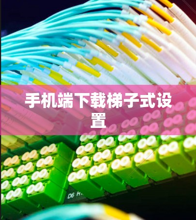 手机端下载梯子式设置