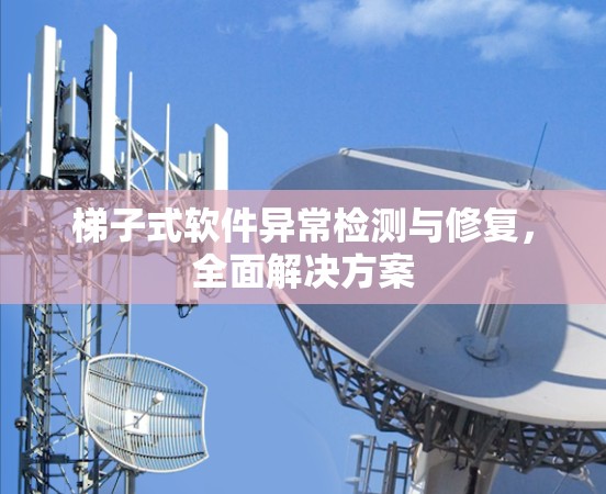 梯子式软件异常检测与修复，全面解决方案