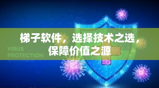 梯子软件，选择技术之选，保障价值之源