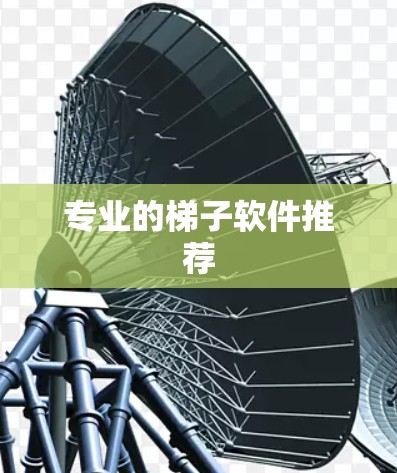 专业的梯子软件推荐 专业的梯子软件推荐
