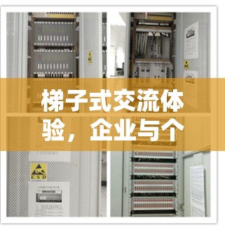 梯子式交流体验,企业与个人的高效沟通新范式 梯子式交流体验,企业与个人的高效沟通新范式