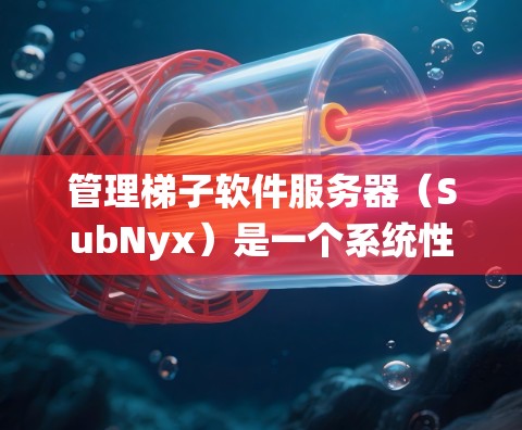管理梯子软件服务器（SubNyx）是一个系统性的过程，涉及多个步骤和功能。以下是详细的步骤指南