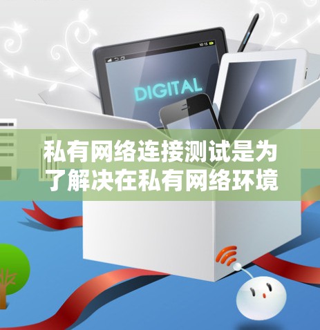 私有网络连接测试是为了解决在私有网络环境中设备之间连接问题而进行的测试，旨在确保网络设备正确工作。以下是对私有网络连接测试的详细分析和步骤