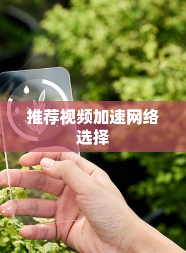 推荐视频加速网络选择 推荐视频加速网络选择