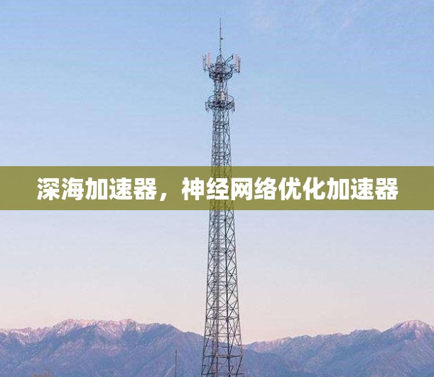 深海加速器，神经网络优化加速器