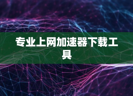 专业上网加速器下载工具