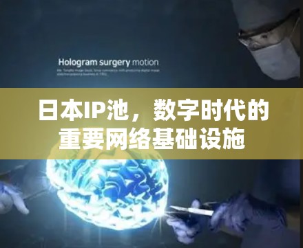 日本IP池,数字时代的重要网络基础设施 日本IP池,数字时代的重要网络基础设施