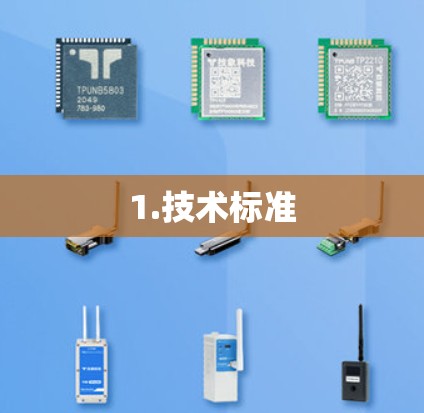 1.技术标准