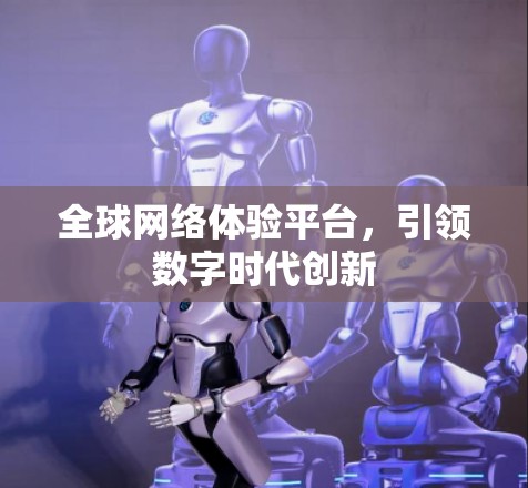 全球网络体验平台,引领数字时代创新 全球网络体验平台,引领数字时代创新