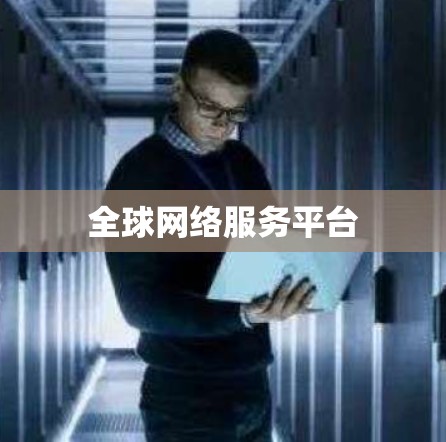 全球网络服务平台 全球网络服务平台