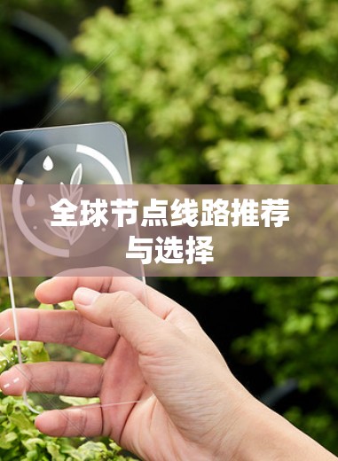 全球节点线路推荐与选择