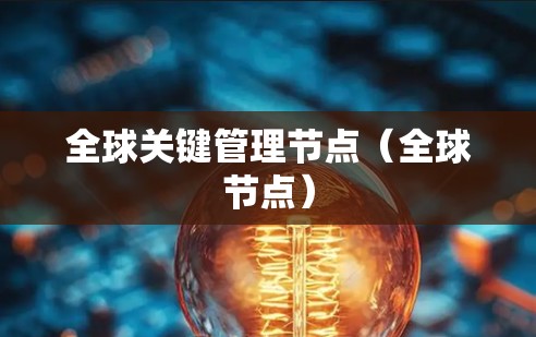 全球关键管理节点（全球节点）
