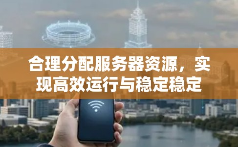 合理分配服务器资源，实现高效运行与稳定稳定