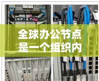 全球办公节点是一个组织内部的核心网络环境，旨在实现高效的信息传递和协作。以下是对全球办公节点的总结和分析