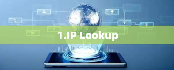 1.IP Lookup