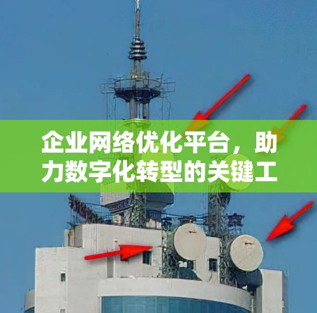 企业网络优化平台,助力数字化转型的关键工具 企业网络优化平台,助力数字化转型的关键工具