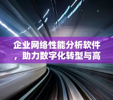 企业网络性能分析软件，助力数字化转型与高效运营