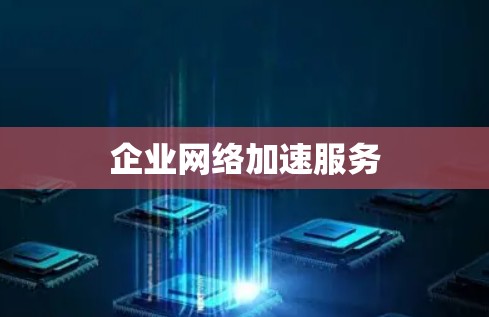 企业网络加速服务 企业网络加速服务