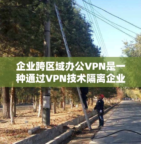 企业跨区域办公VPN是一种通过VPN技术隔离企业内部人员，确保他们在不同区域或不同国家的办公环境的安全性。以下是一个详细的思考过程和回答