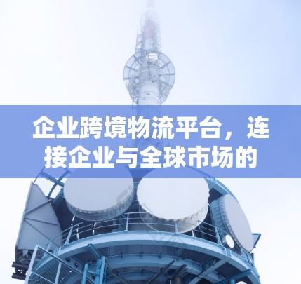 企业跨境物流平台，连接企业与全球市场的桥梁